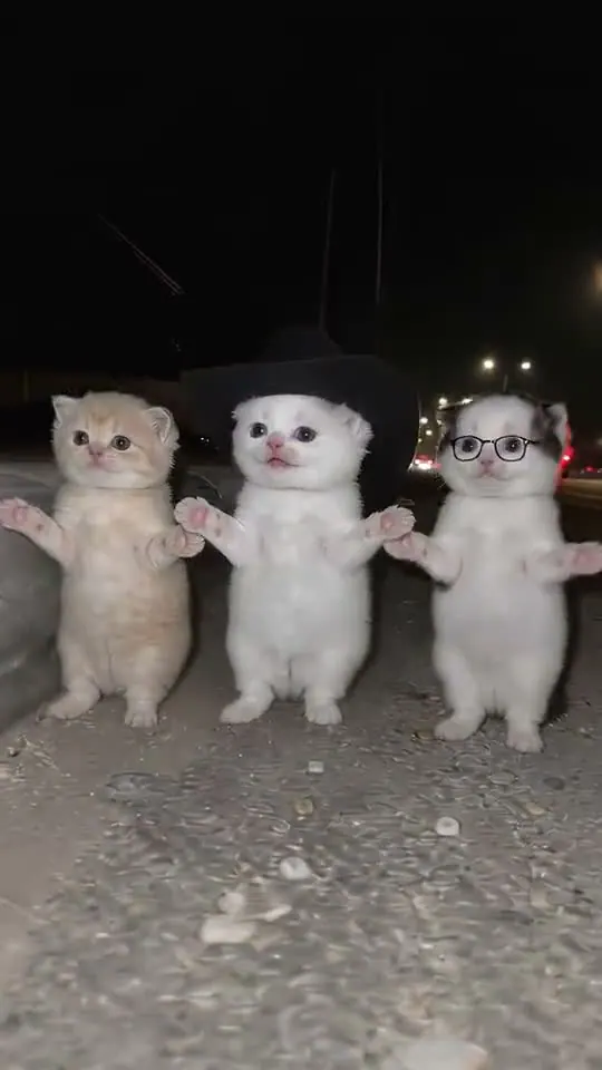 La Calabaza Dance