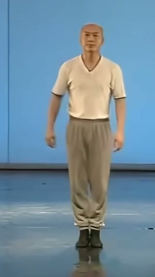 Shan Shen Bu / Flash Step — Example photo 1